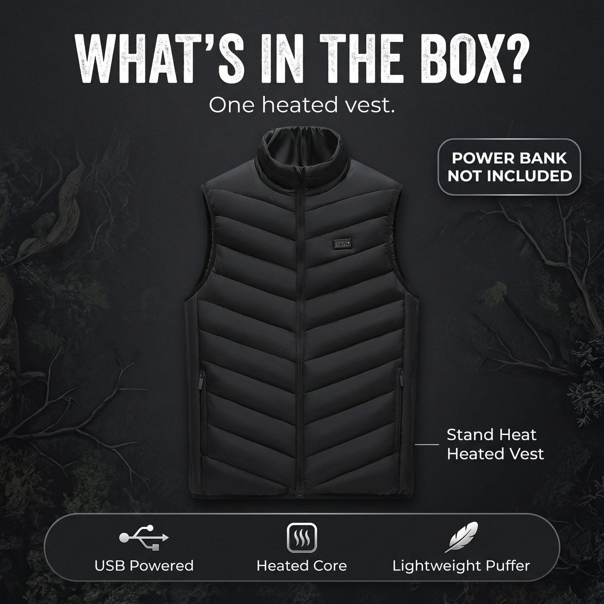 What is in the box